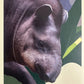 Panini Noi Animali L’unione fa la forza – Figurine singole a scelta 1-100