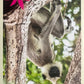 Panini Noi Animali L’unione fa la forza – Figurine singole a scelta 1-100