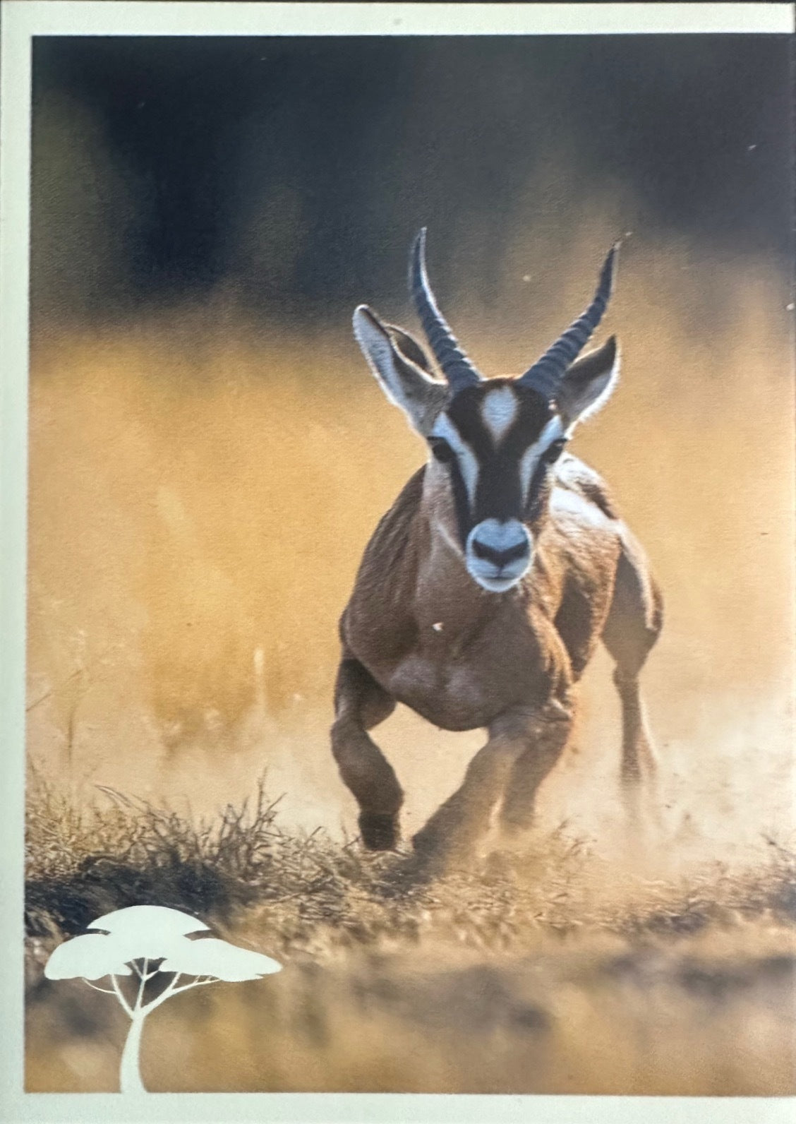 Panini Noi Animali L’unione fa la forza – Figurine singole a scelta 1-100