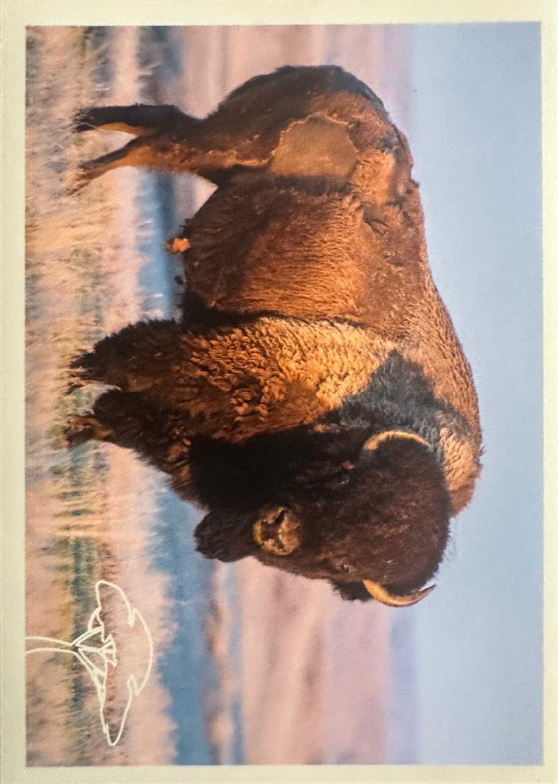 Panini Noi Animali L’unione fa la forza – Figurine singole a scelta 1-100