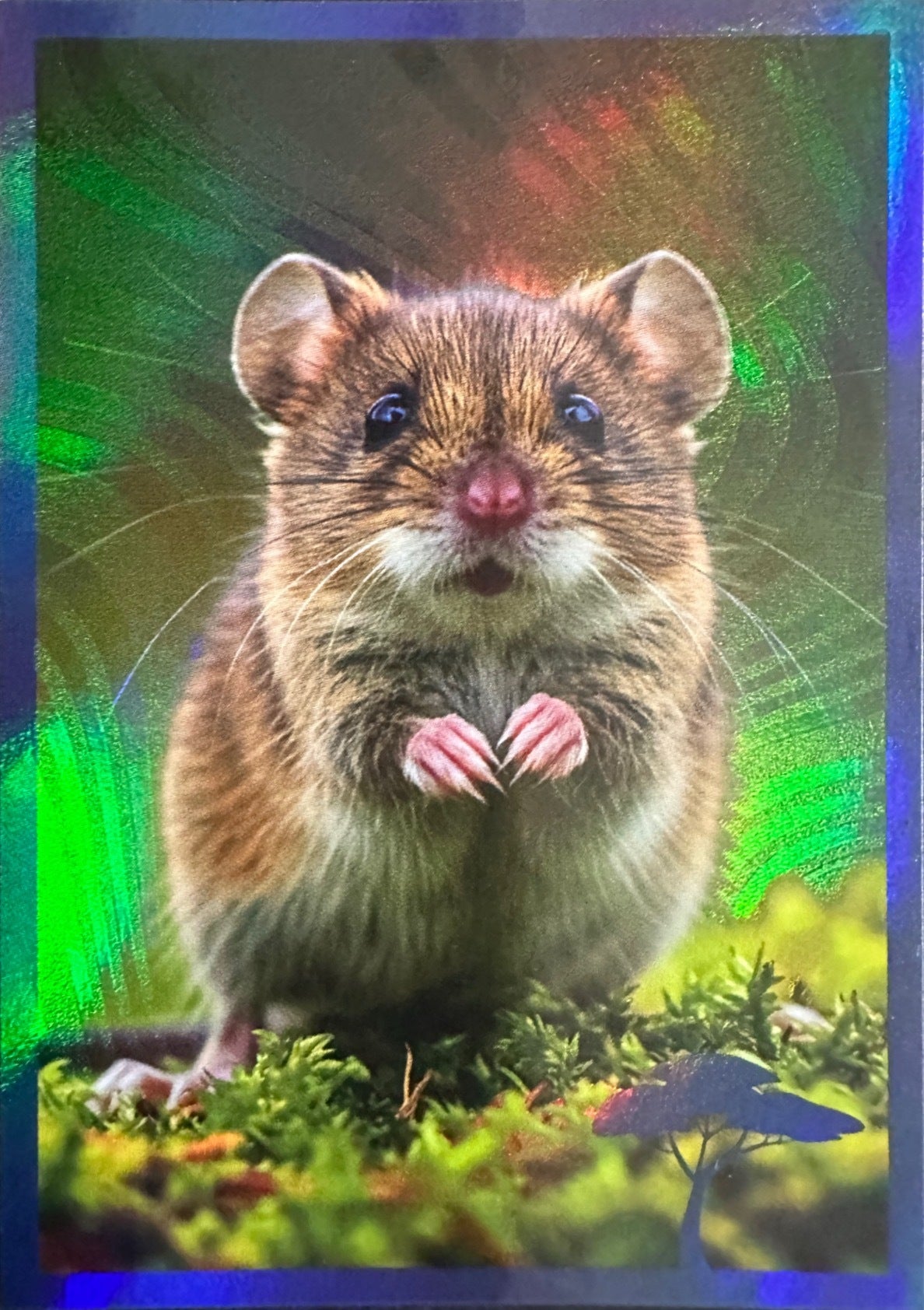 Panini Noi Animali L’unione fa la forza – Figurine singole a scelta 1-100