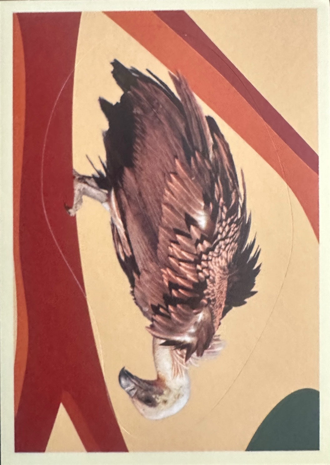 Panini Noi Animali L’unione fa la forza – Figurine singole a scelta 1-100