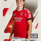 Topps Match Attax 2025/26 UCL Champions League - Scegli Card 1-250 Base