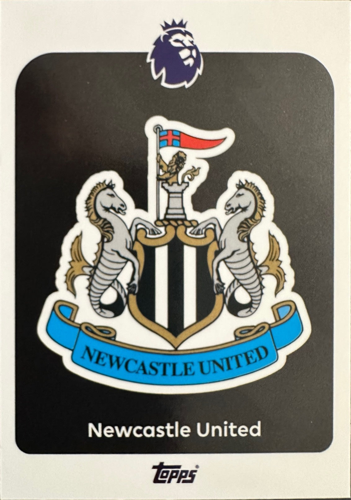Topps Premier League 2025/26 2026 Scegli Card #201-300 Base Card Team Badge