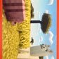 Minecraft Panini 2026 - Scegli figurine da 1 a 240