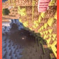 Minecraft Panini 2026 - Scegli figurine da 1 a 240