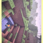 Minecraft Panini 2026 - Scegli figurine da 1 a 240