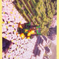 Minecraft Panini 2026 - Scegli figurine da 1 a 240