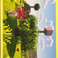 Minecraft Panini 2026 - Scegli figurine da 1 a 240