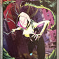 Marvel Anthology Panini - Scegli Card Parallel Metal Holo