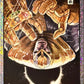 Marvel Anthology Panini - Scegli Card Parallel Stardust Holo