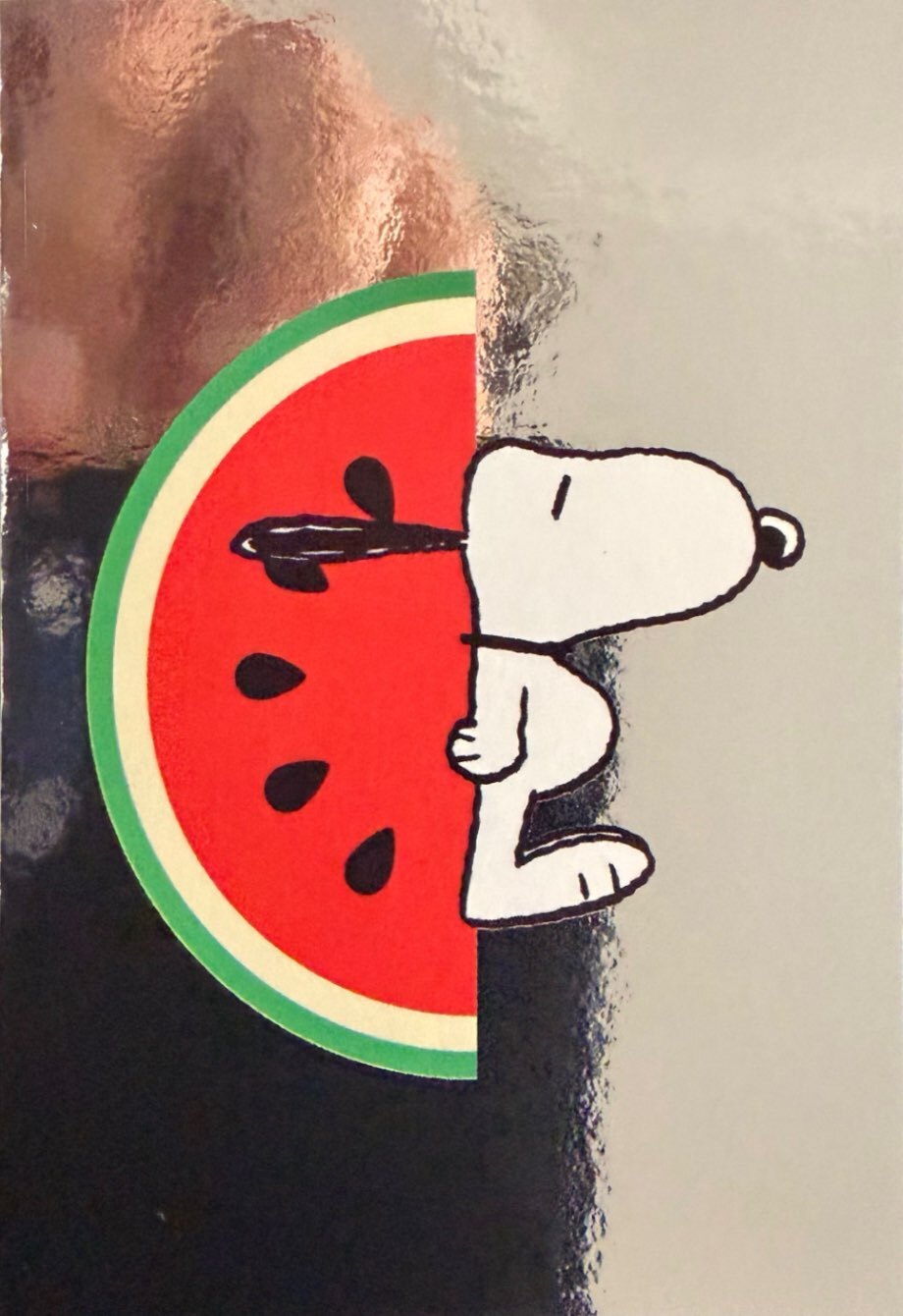 Peanuts Panini 2026 - Scegli figurine da 1 a 144