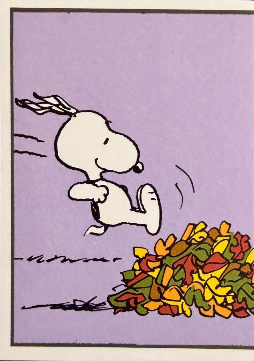 Peanuts Panini 2026 - Scegli figurine da 145 a 276