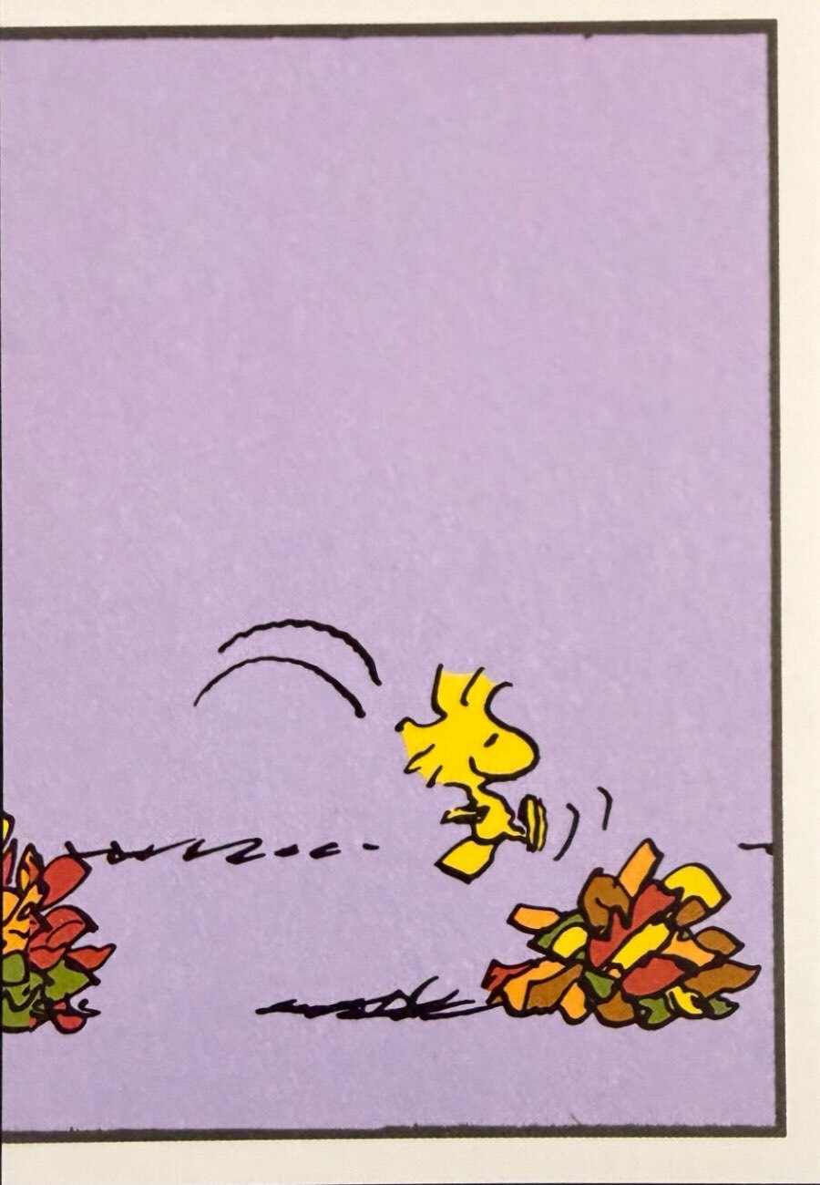 Peanuts Panini 2026 - Scegli figurine da 145 a 276