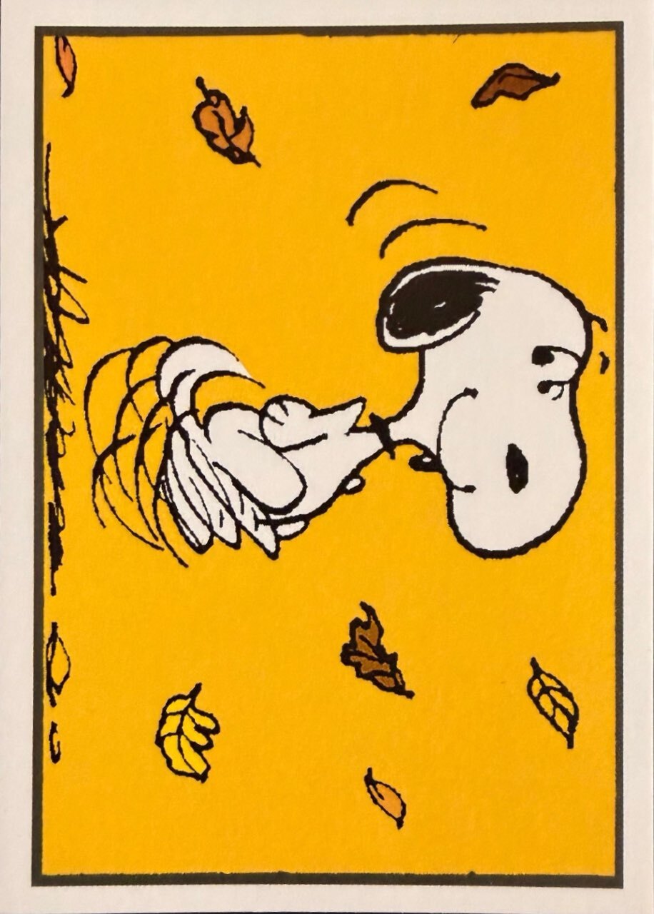 Peanuts Panini 2026 - Scegli figurine da 145 a 276