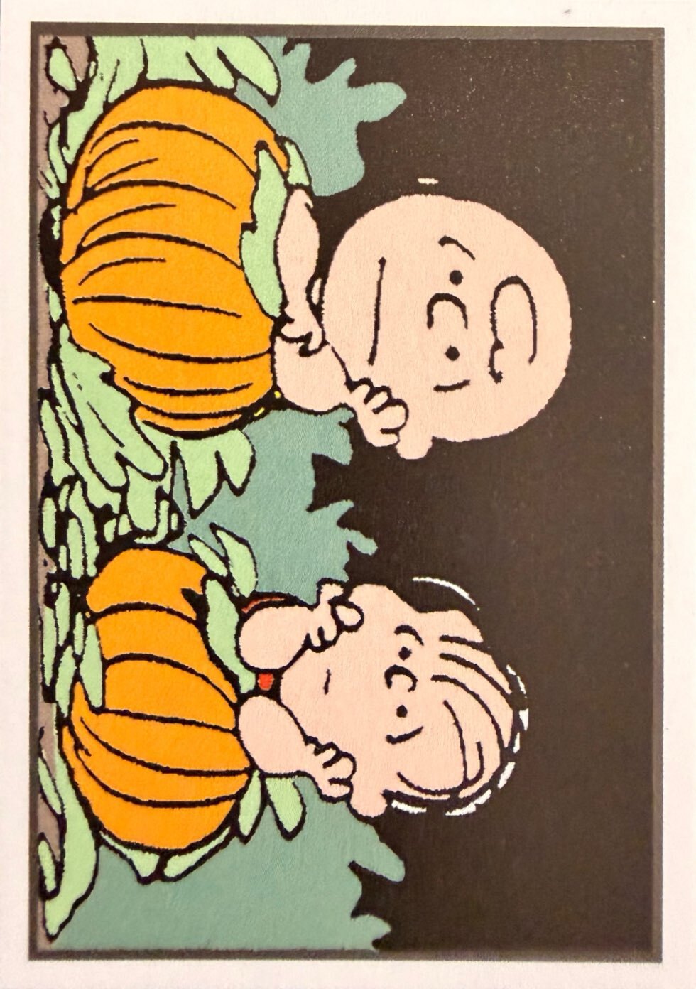 Peanuts Panini 2026 - Scegli figurine da 145 a 276
