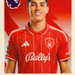 Premier League 2026 Topps - Scegli figurina da 401 a 561