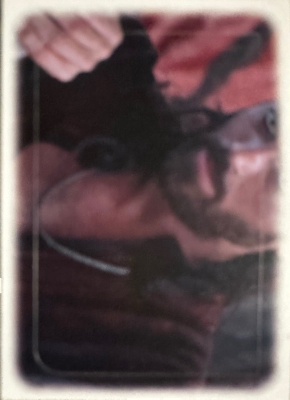 Sandokan Diramix - Figurine a Scelta 1-180