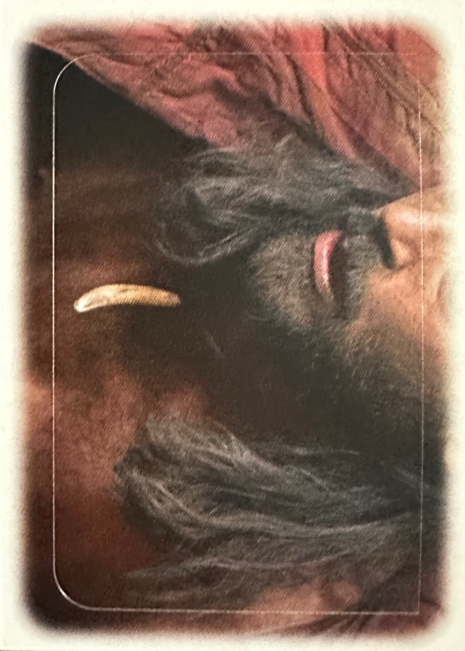 Sandokan Diramix - Figurine a Scelta 1-180