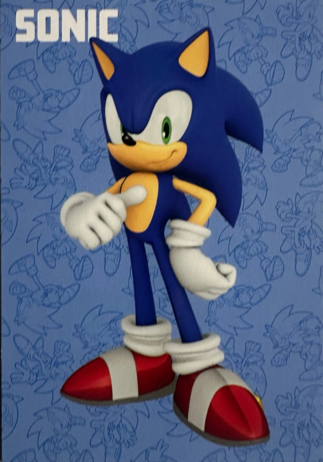 Panini Sonic The Hedgehog 2025 - Figurine a Scelta 1-243 Limited Edition