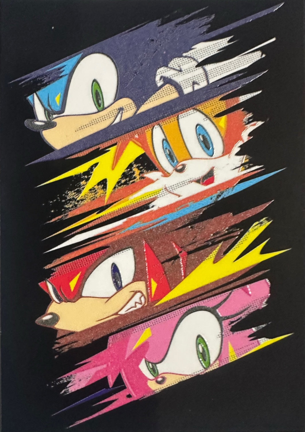 Panini Sonic The Hedgehog 2025 - Figurine a Scelta 1-243 Limited Edition