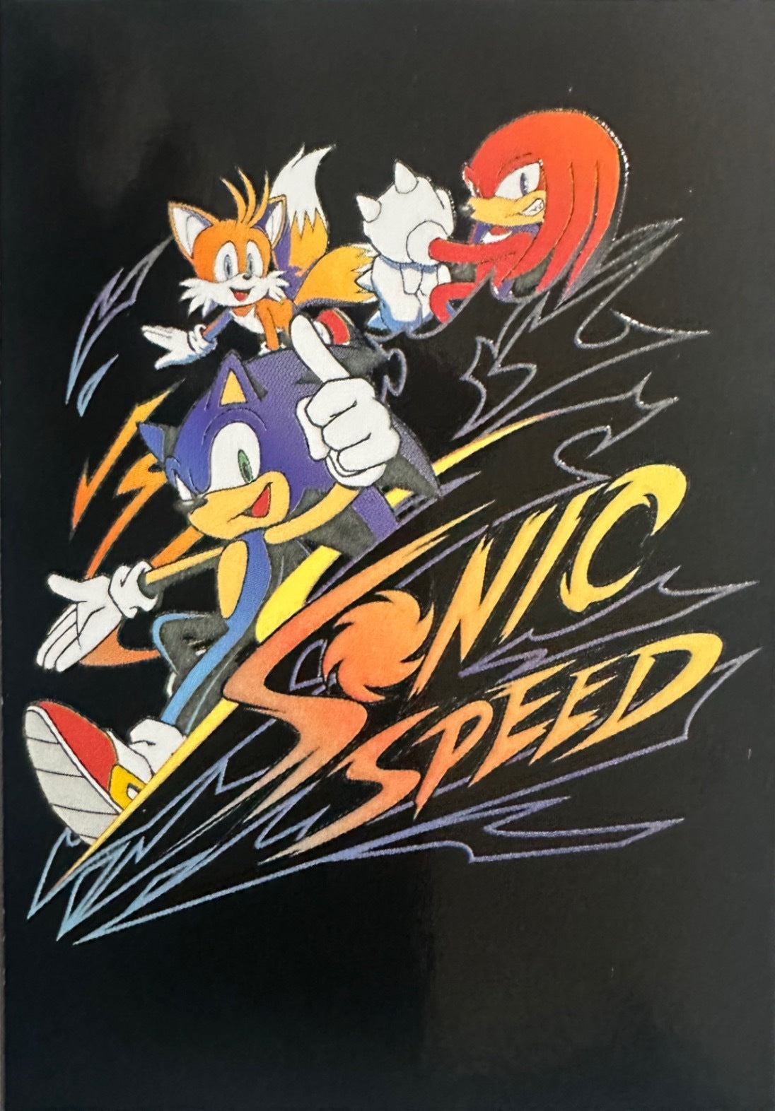 Panini Sonic The Hedgehog 2025 - Figurine a Scelta 1-243 Limited Edition