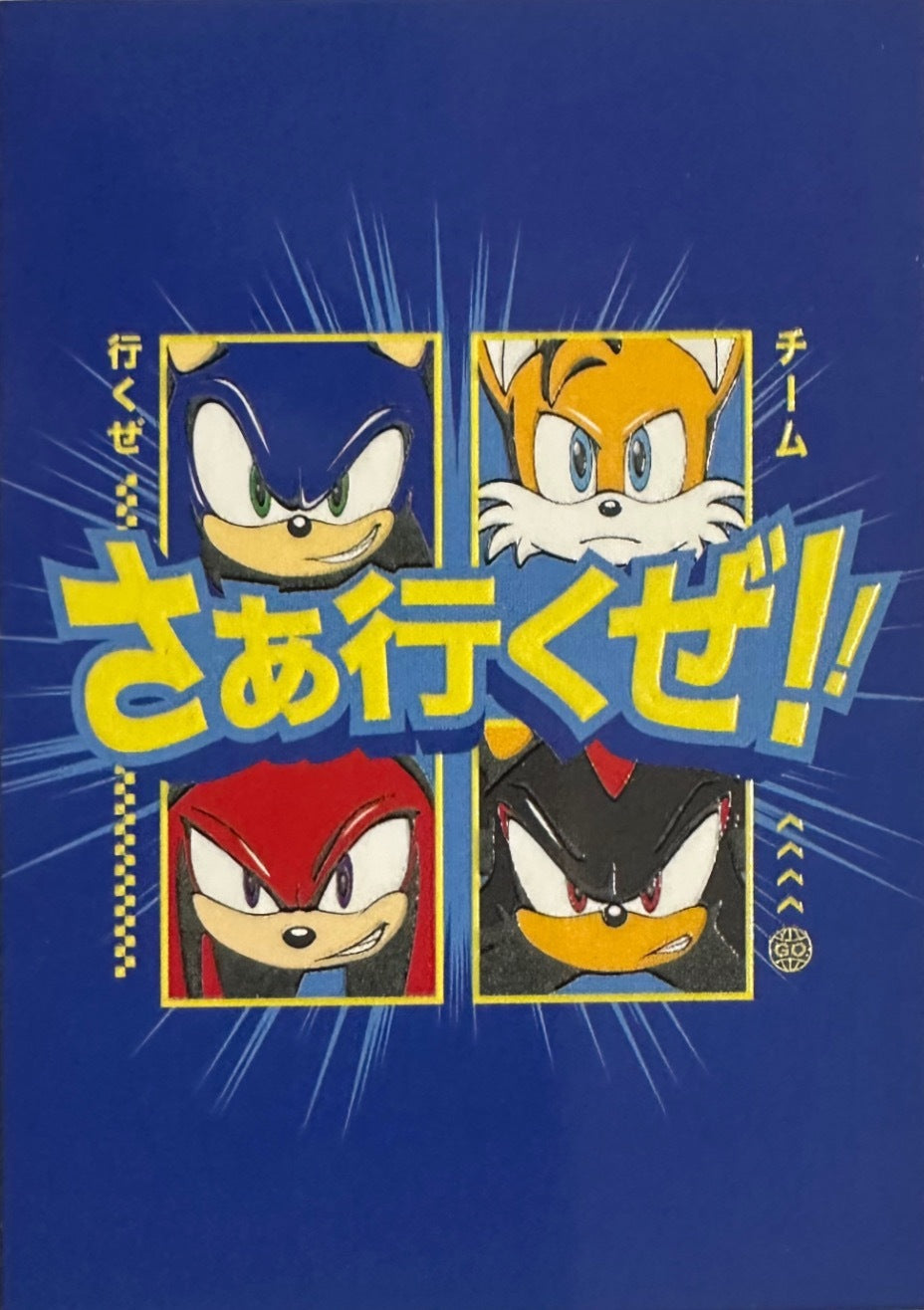 Panini Sonic The Hedgehog 2025 - Figurine a Scelta 1-243 Limited Edition