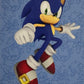 Panini Sonic The Hedgehog 2025 - Figurine a Scelta 1-243 Limited Edition