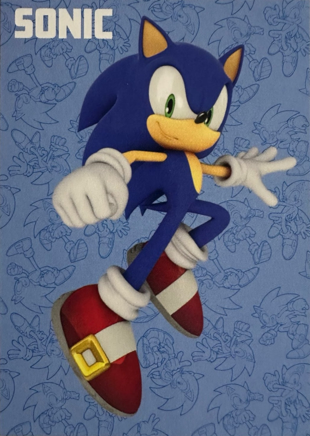 Panini Sonic The Hedgehog 2025 - Figurine a Scelta 1-243 Limited Edition