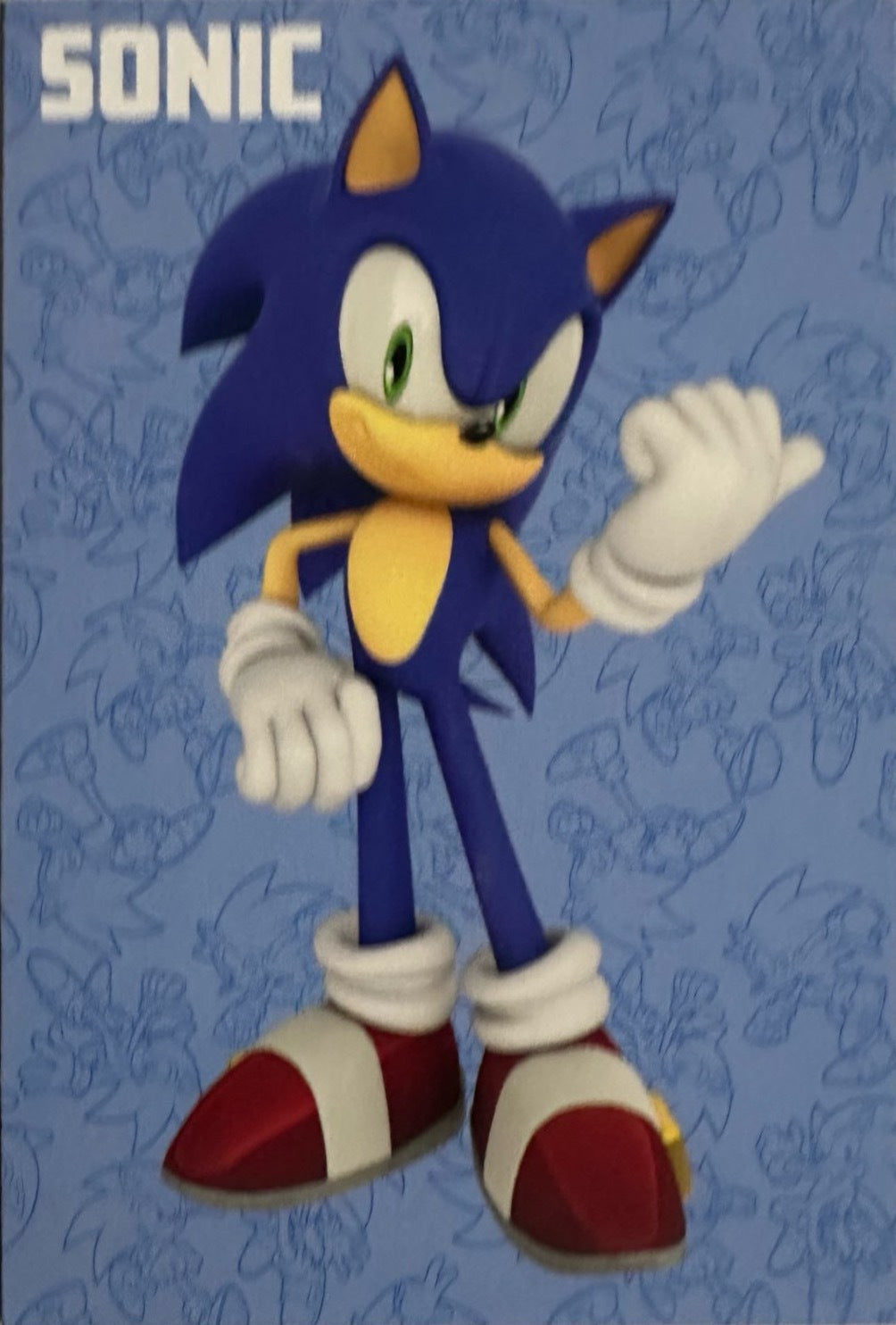 Panini Sonic The Hedgehog 2025 - Figurine a Scelta 1-243 Limited Edition