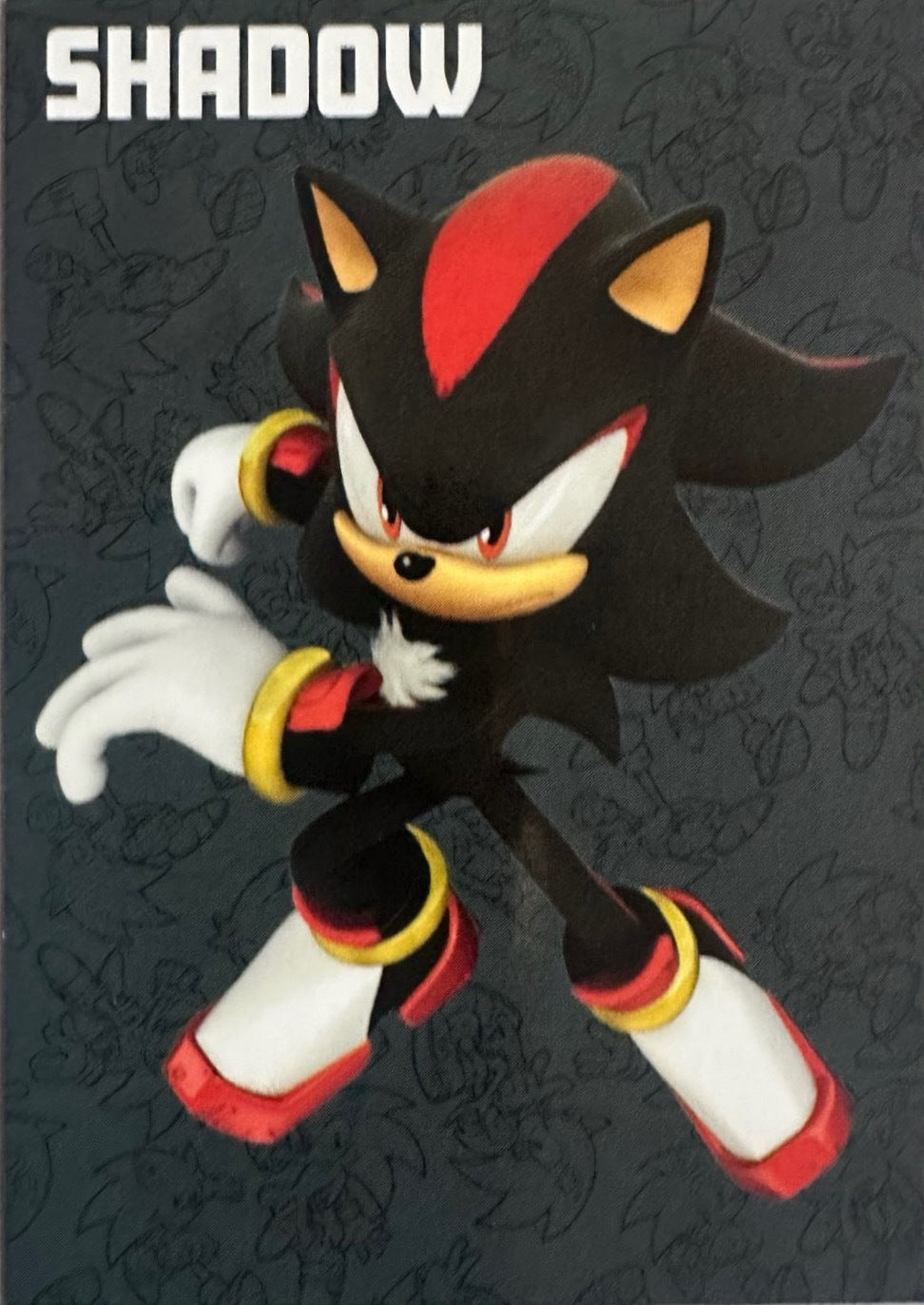 Panini Sonic The Hedgehog 2025 - Figurine a Scelta 1-243 Limited Edition