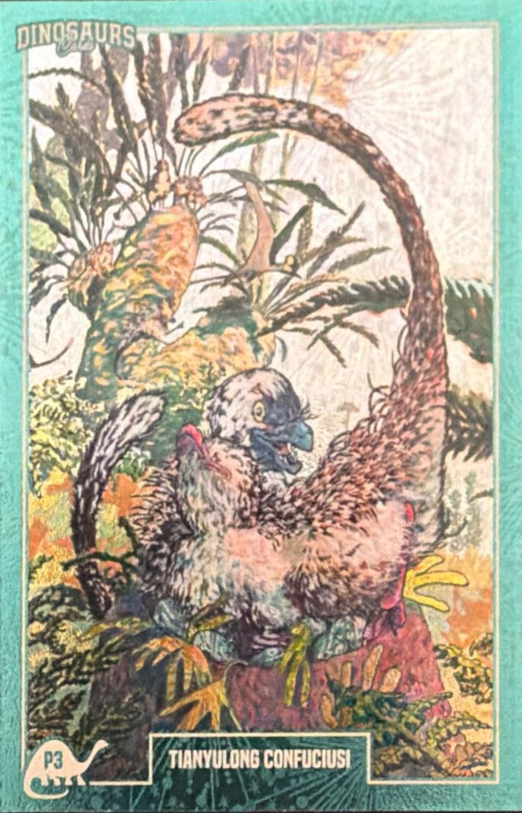 Release the Creatures Tomodachi Press - Scegli Special Card P-TS-S-PR-L