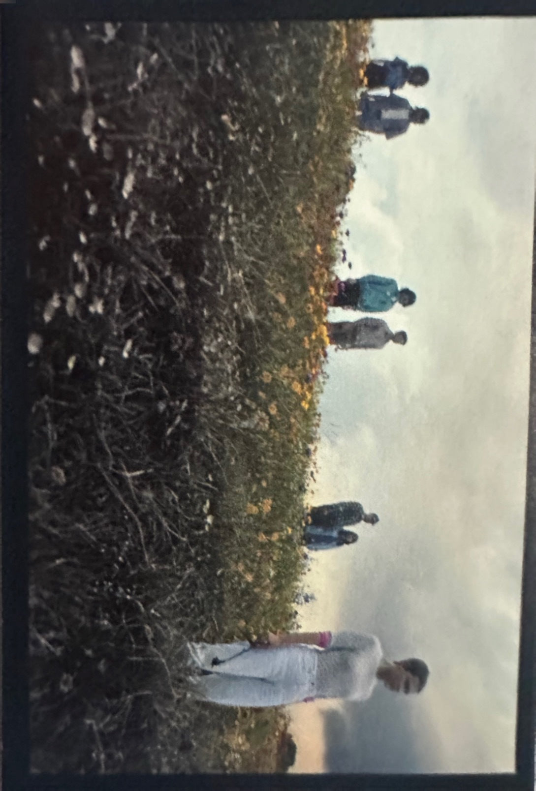 Stranger Things Panini Netflix 2025 - Figurine a Scelta 1-192 P1-P8