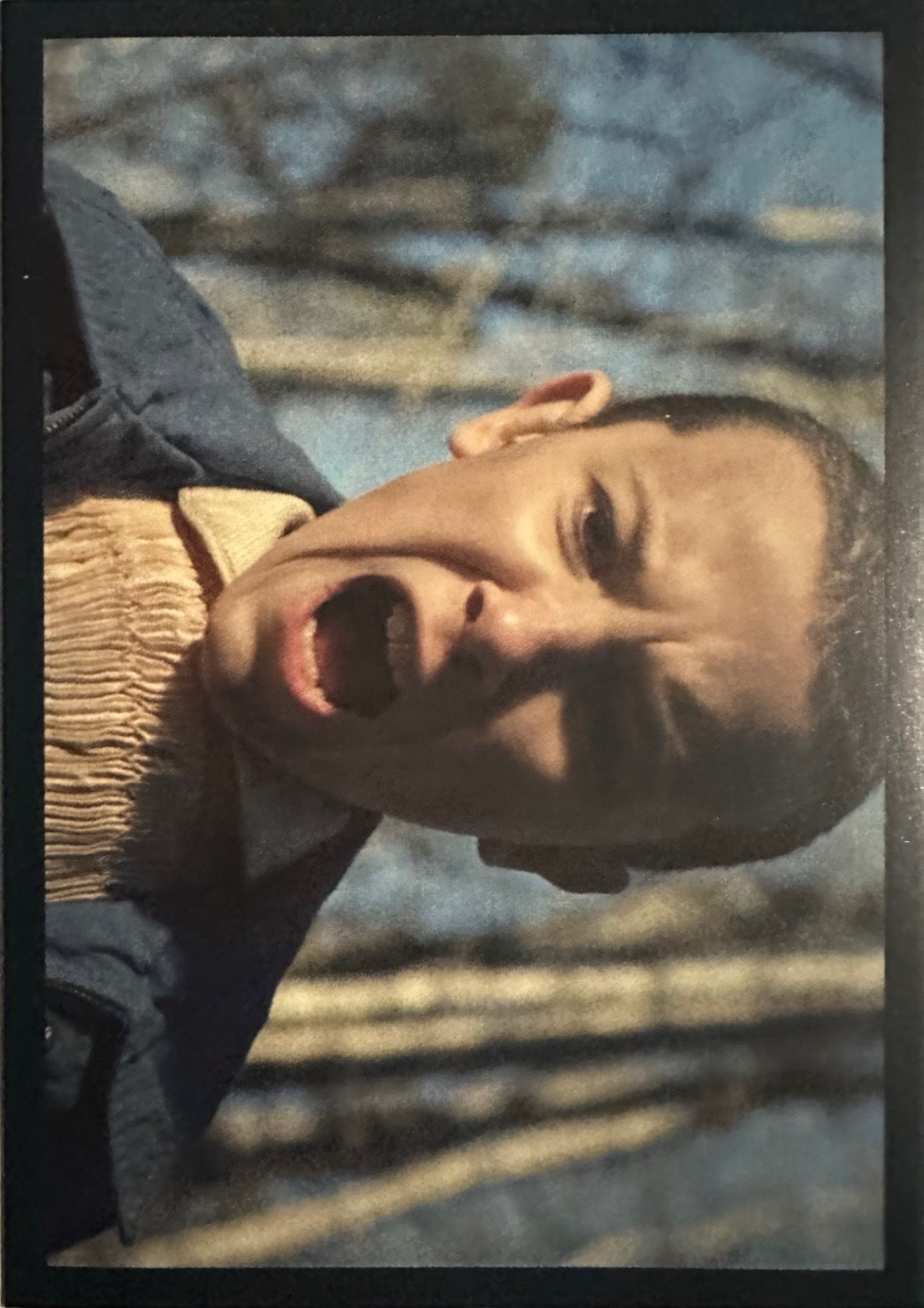 Stranger Things Panini Netflix 2025 - Figurine a Scelta 1-192 P1-P8