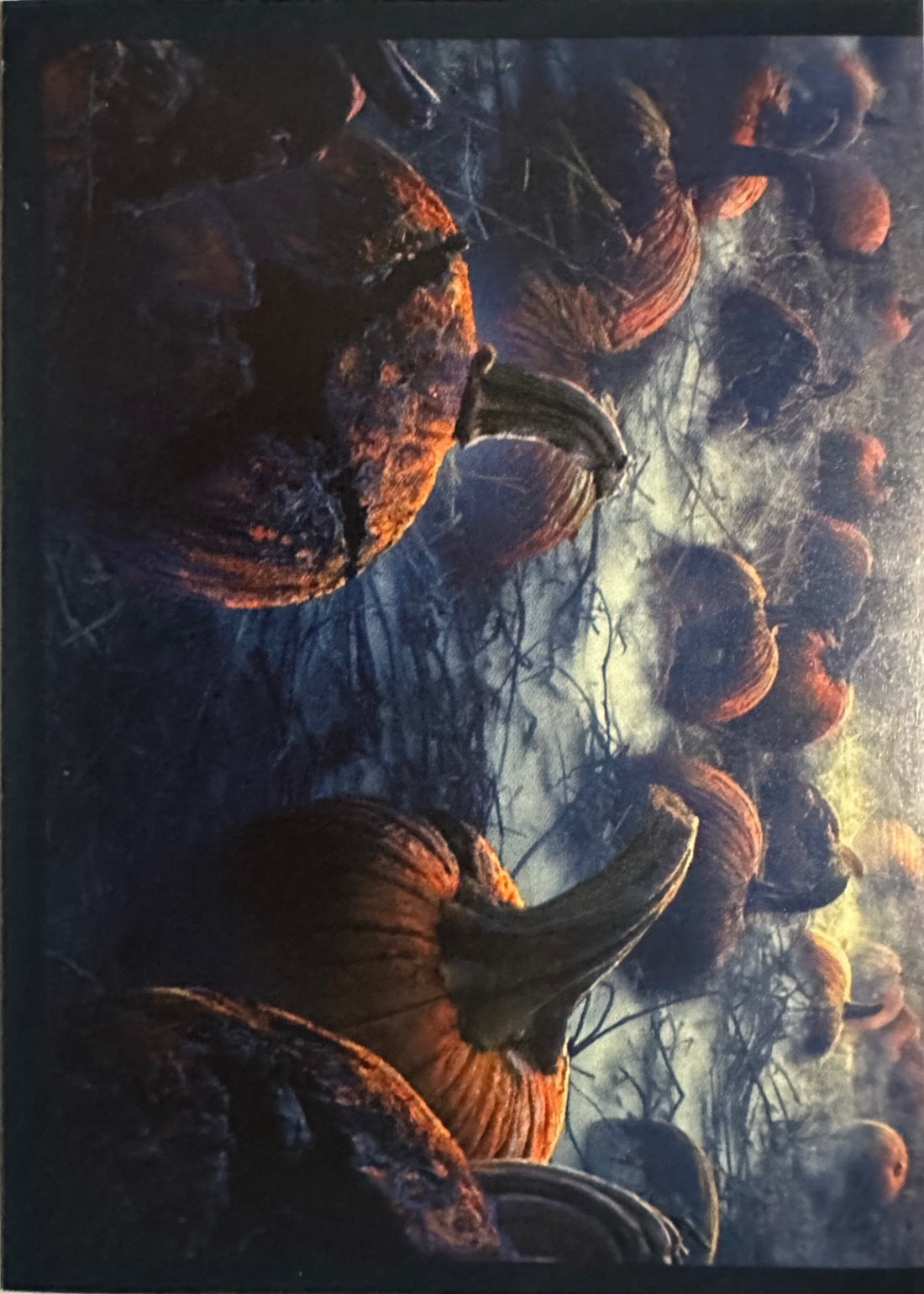 Stranger Things Panini Netflix 2025 - Figurine a Scelta 1-192 P1-P8