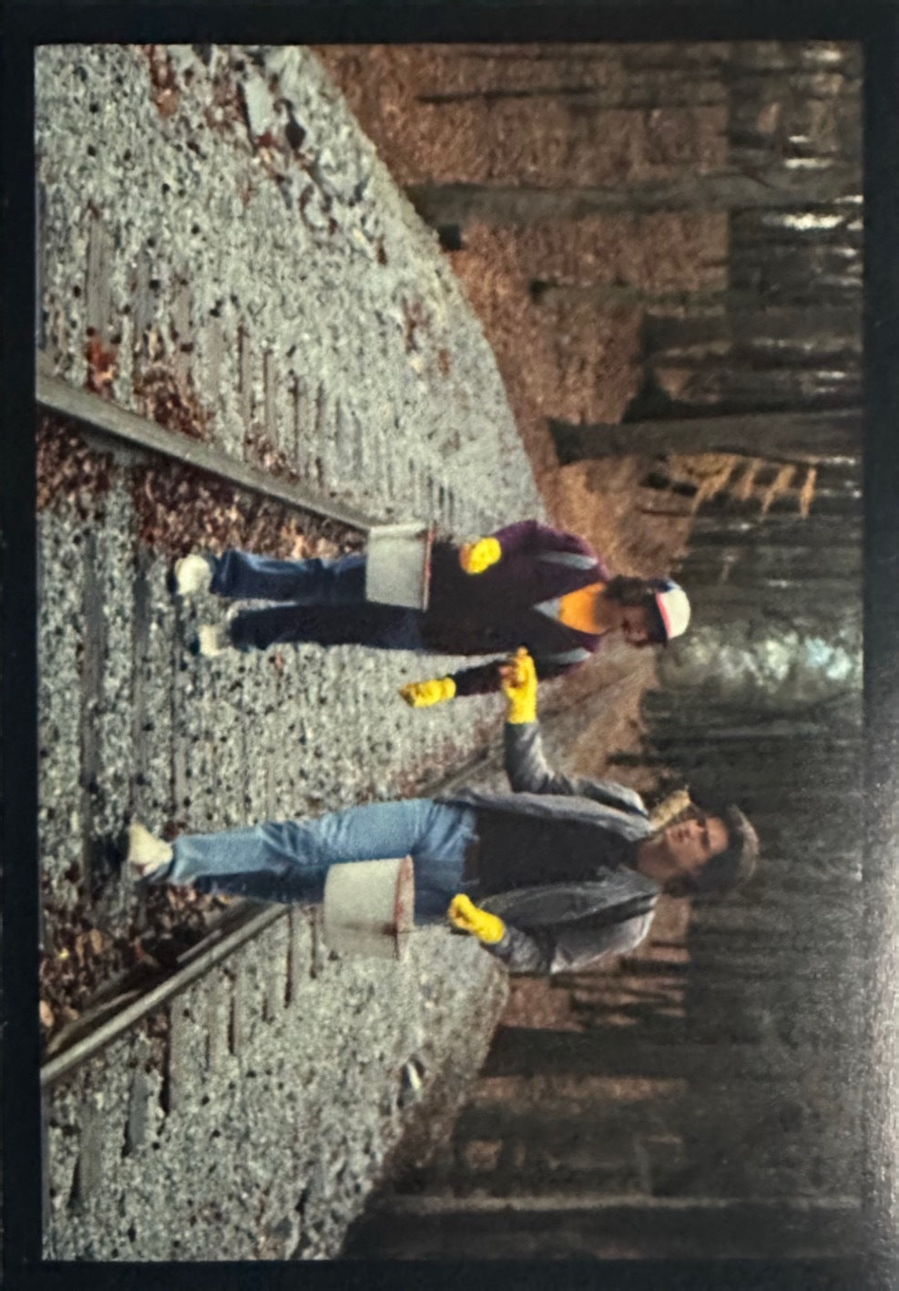 Stranger Things Panini Netflix 2025 - Figurine a Scelta 1-192 P1-P8