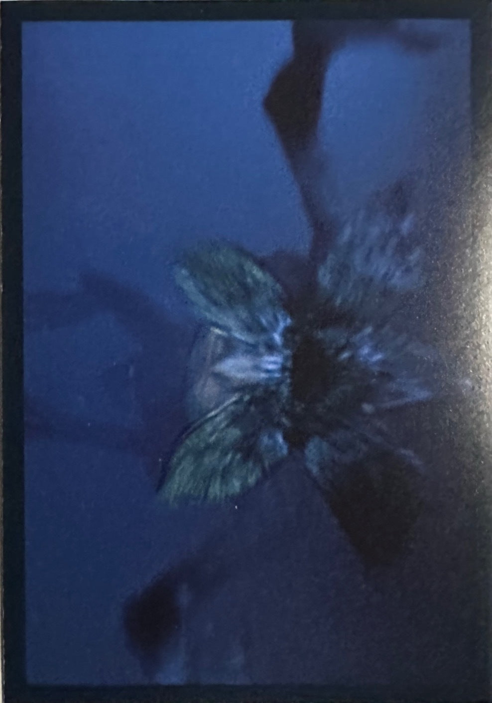 Stranger Things Panini Netflix 2025 - Figurine a Scelta 1-192 P1-P8