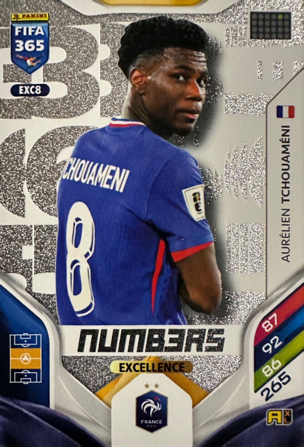 Panini Adrenalyn XL FIFA 365 2026 - Card Excellence Aura Numbers a scelta