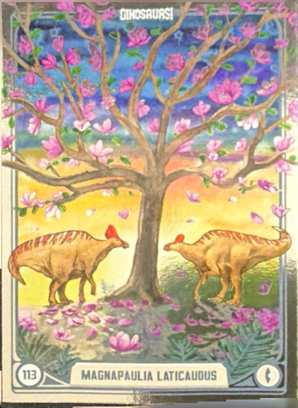 Release the Creatures Tomodachi Press - Scegli Card Tier C 1-150
