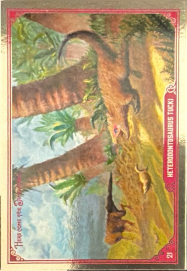 Release the Creatures Tomodachi Press - Scegli Card Tier C 1-150