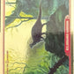 Release the Creatures Tomodachi Press - Scegli Card Tier B 1-150
