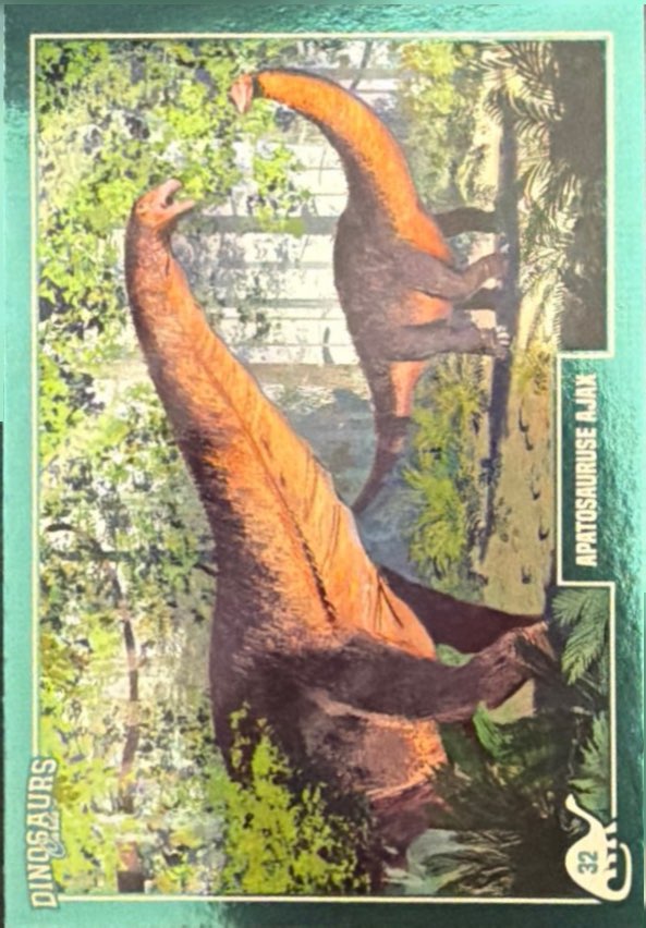 Release the Creatures Tomodachi Press - Scegli Card Tier C 1-150