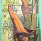 Release the Creatures Tomodachi Press - Scegli Card Tier B 1-150