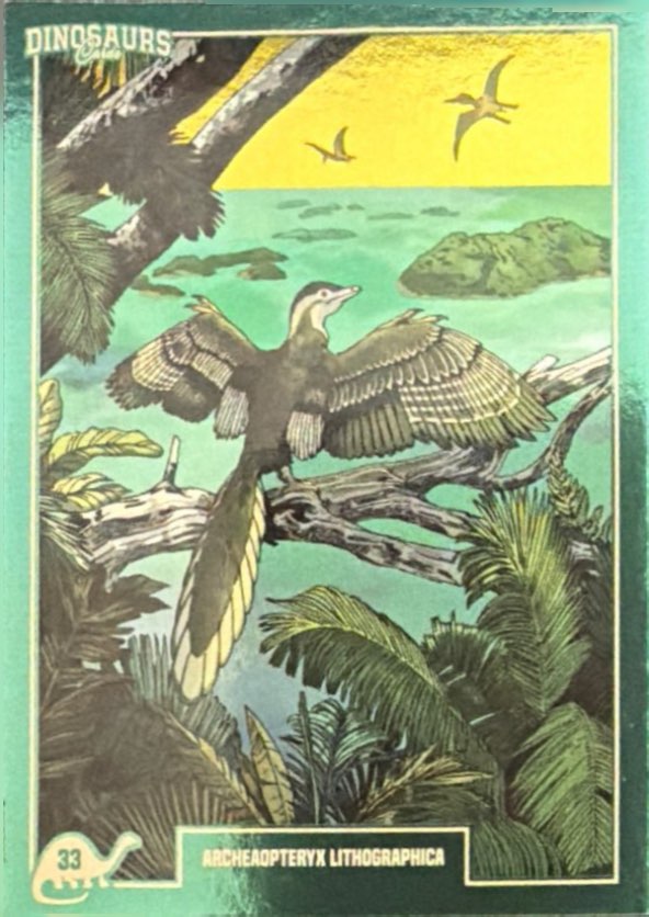 Release the Creatures Tomodachi Press - Scegli Card Tier C 1-150