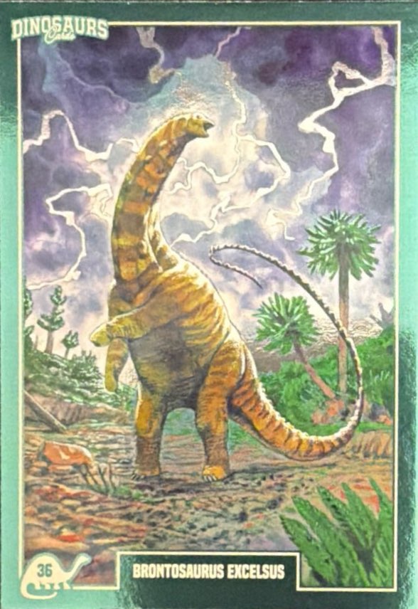 Release the Creatures Tomodachi Press - Scegli Card Tier C 1-150