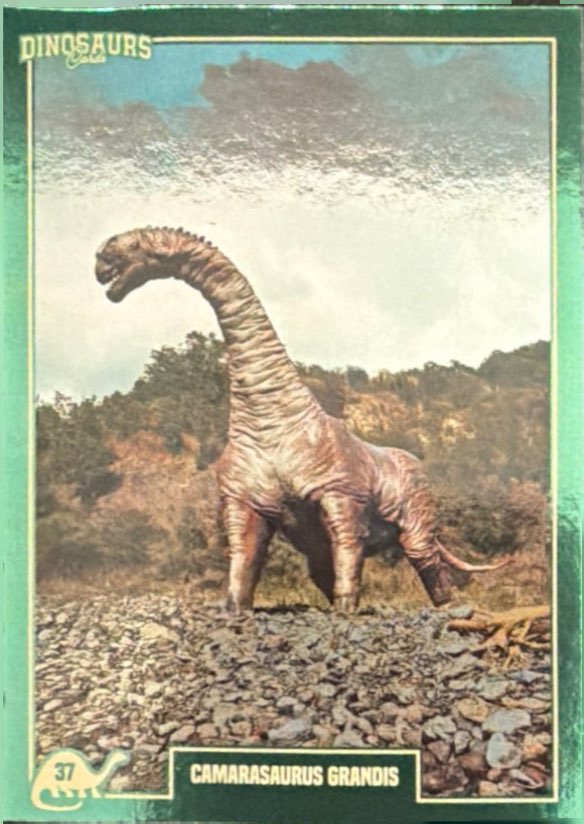 Release the Creatures Tomodachi Press - Scegli Card Tier C 1-150