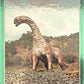 Release the Creatures Tomodachi Press - Scegli Card Tier B 1-150