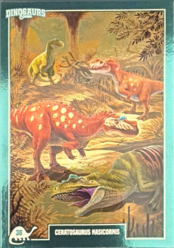 Release the Creatures Tomodachi Press - Scegli Card Tier C 1-150