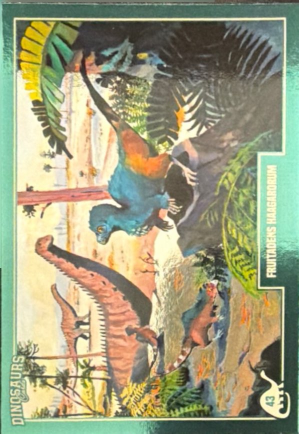 Release the Creatures Tomodachi Press - Scegli Card Tier C 1-150