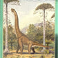 Release the Creatures Tomodachi Press - Scegli Card Tier C 1-150